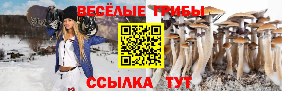 магазин продажи   Вход с VPN  Красный Сулин  Галлюциногенные грибы мухоморы 